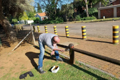 Trinity-Day-of-Service-20